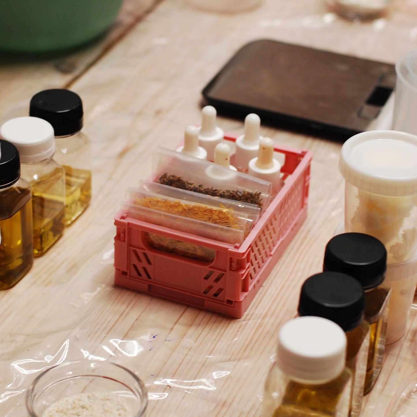 Transformation — Soap Workshop Experience (Vegan ingredients)