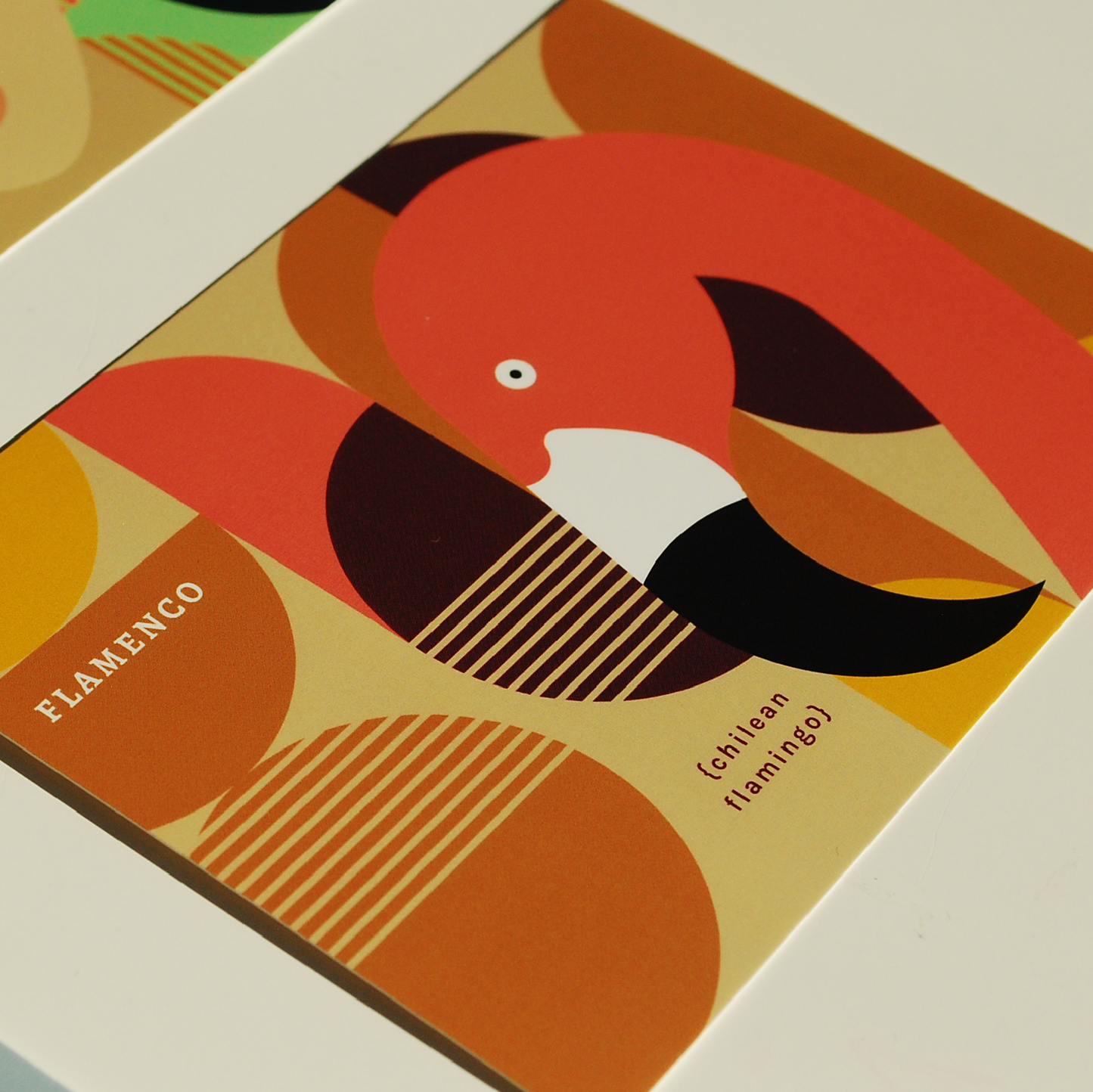 Postcards set | Illustration