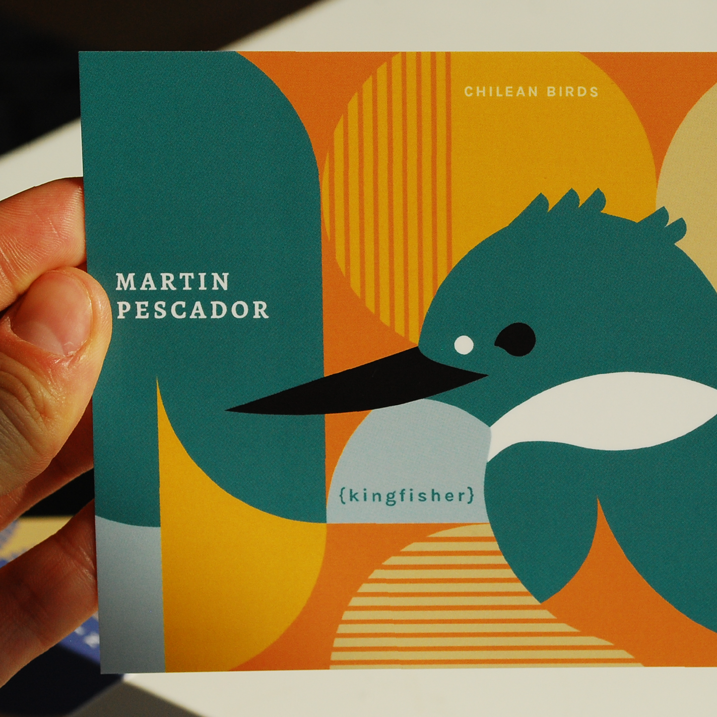 Postcards set | Illustration