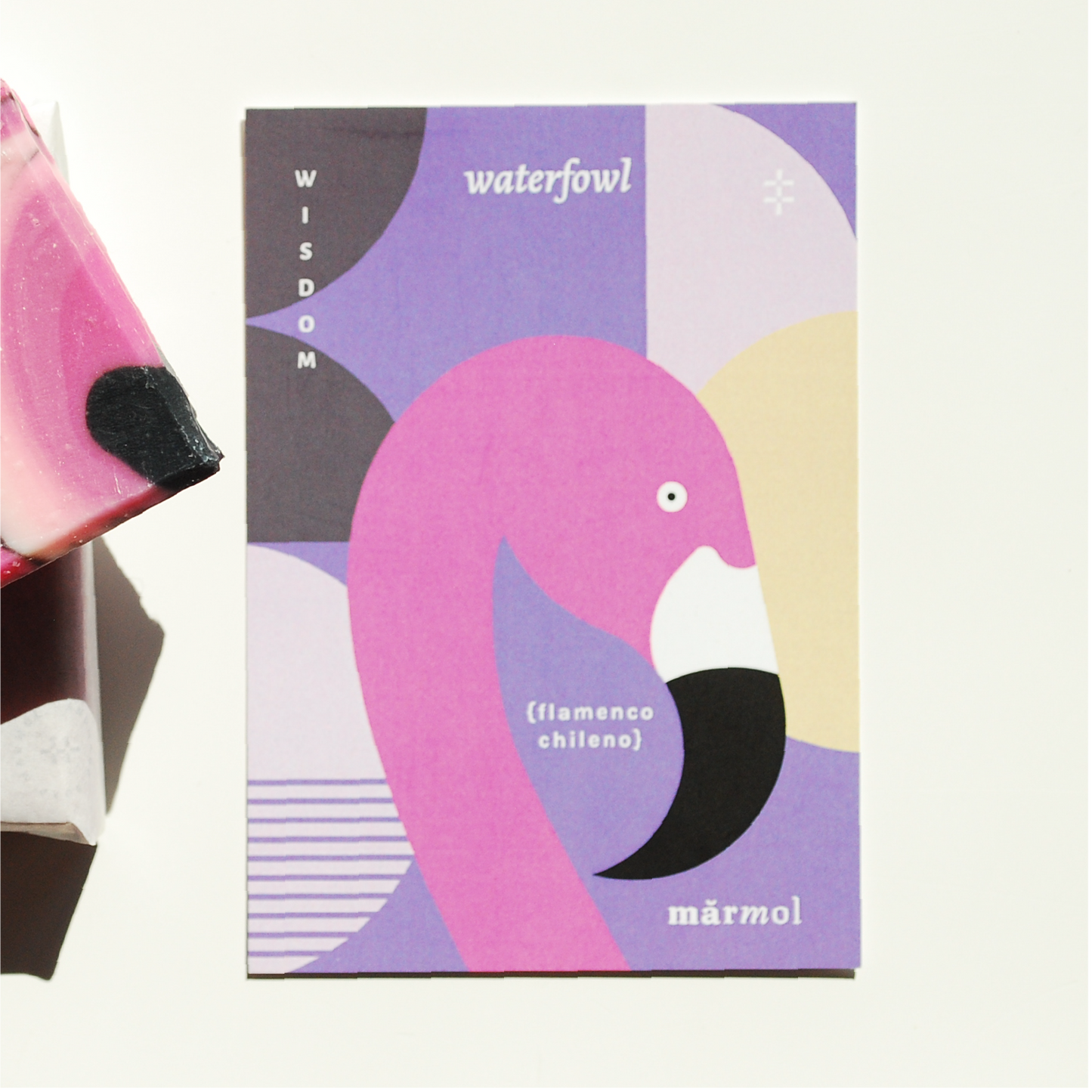 Handmade Soap | Birds Collection