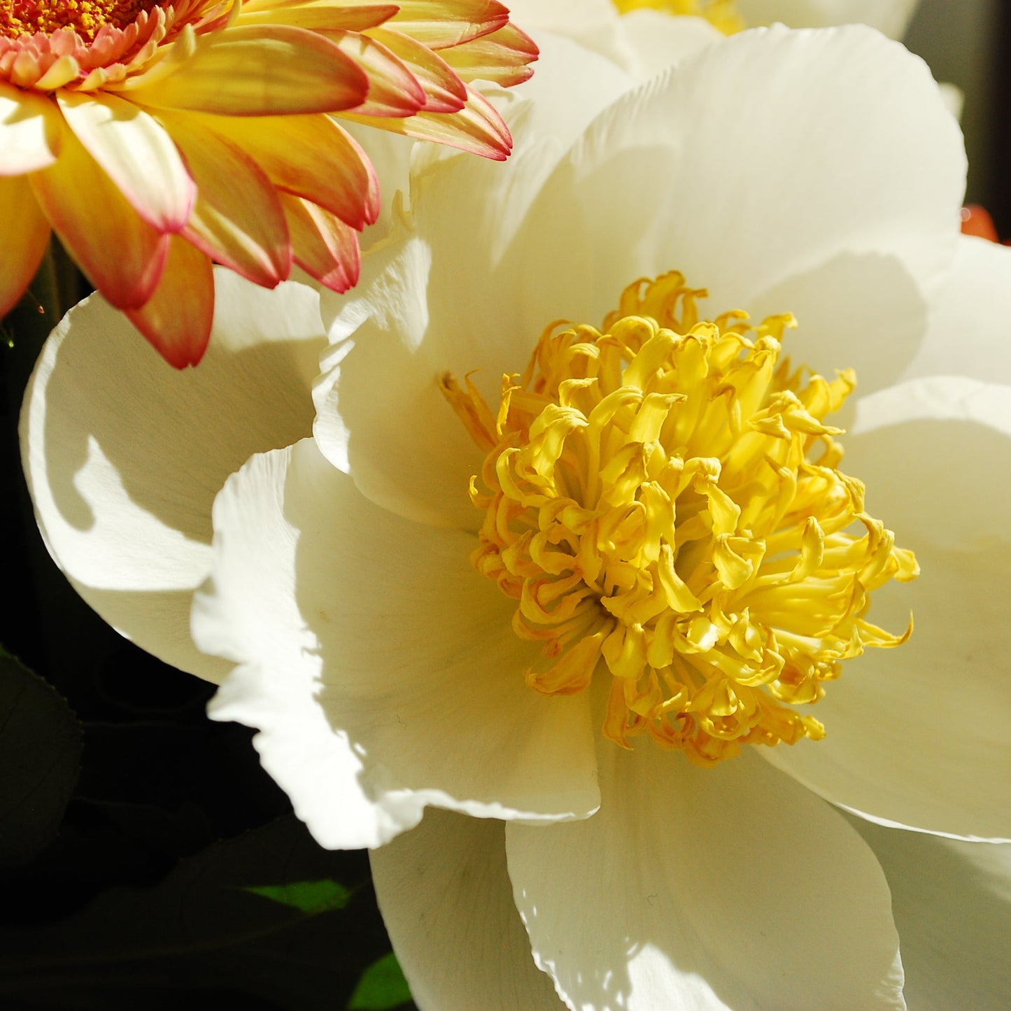 Mother’s Day — Special Workshop Edition